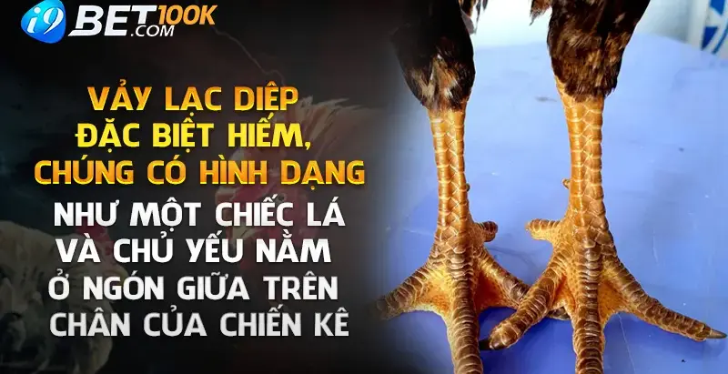 Kham pha ve dep tinh te cua vay lac diep cung i9bet!