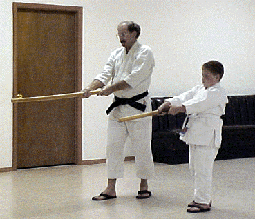 Ferenc bokken - Copy.gif