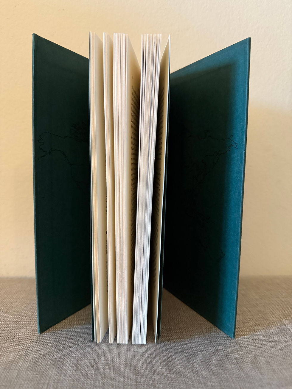 縮圖：Brazil-Maru by Karen Tei Yamashita