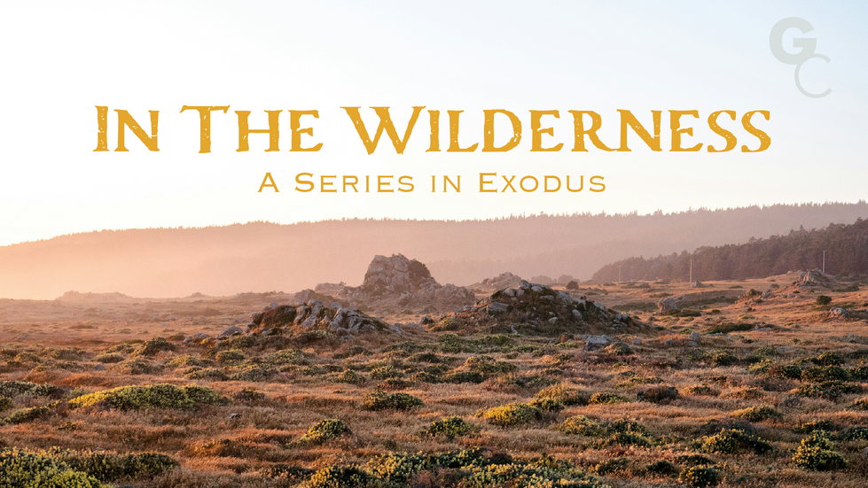 InTheWildernessSermonSeries-01.png