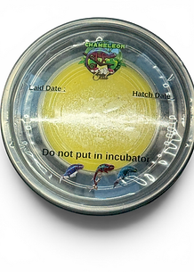 Photoroom_20260610_173241.PNG