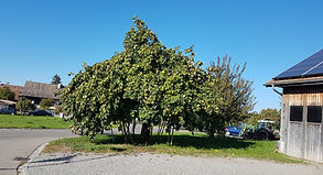 20181014_150038.jpg
