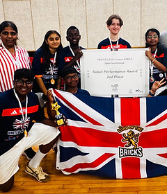 International Robotics Award