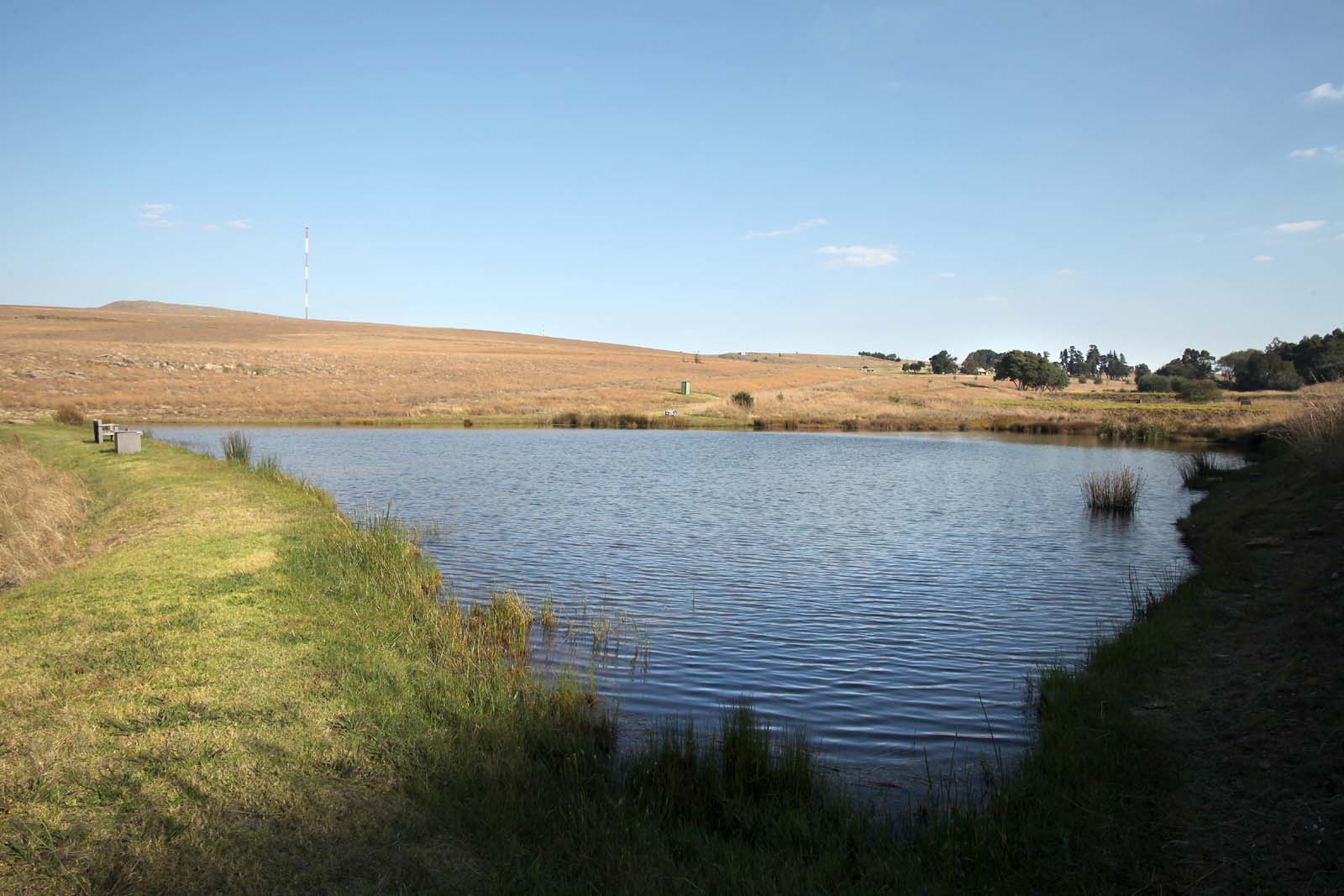 Flyfishing Dullstroom Treeferns Trout Lodge