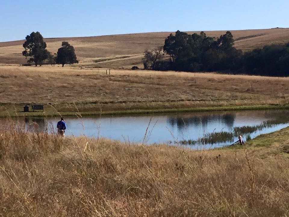 Flyfishing Dullstroom Treeferns Trout Lodge