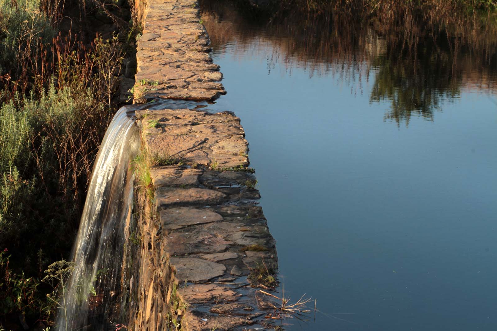 Flyfishing Dullstroom Treeferns Trout Lodge