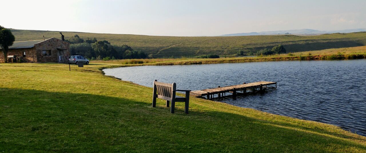 Flyfishing Dullstroom Treeferns Trout Lodge