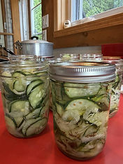 Marinade de concombres et oignons surs