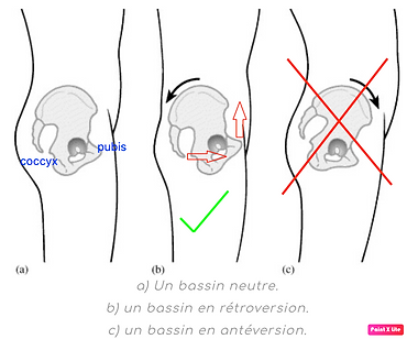 bassin.png