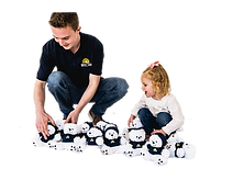 Save the Polar Bears with Second Sun Solar