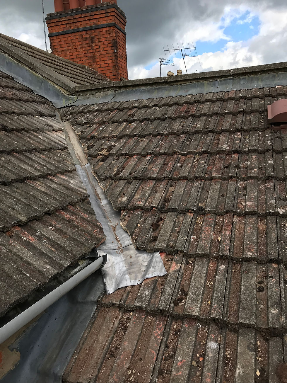 Photo 20-06-2018, 16 11 26