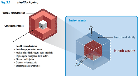 Healthy ageing concept (HD).png