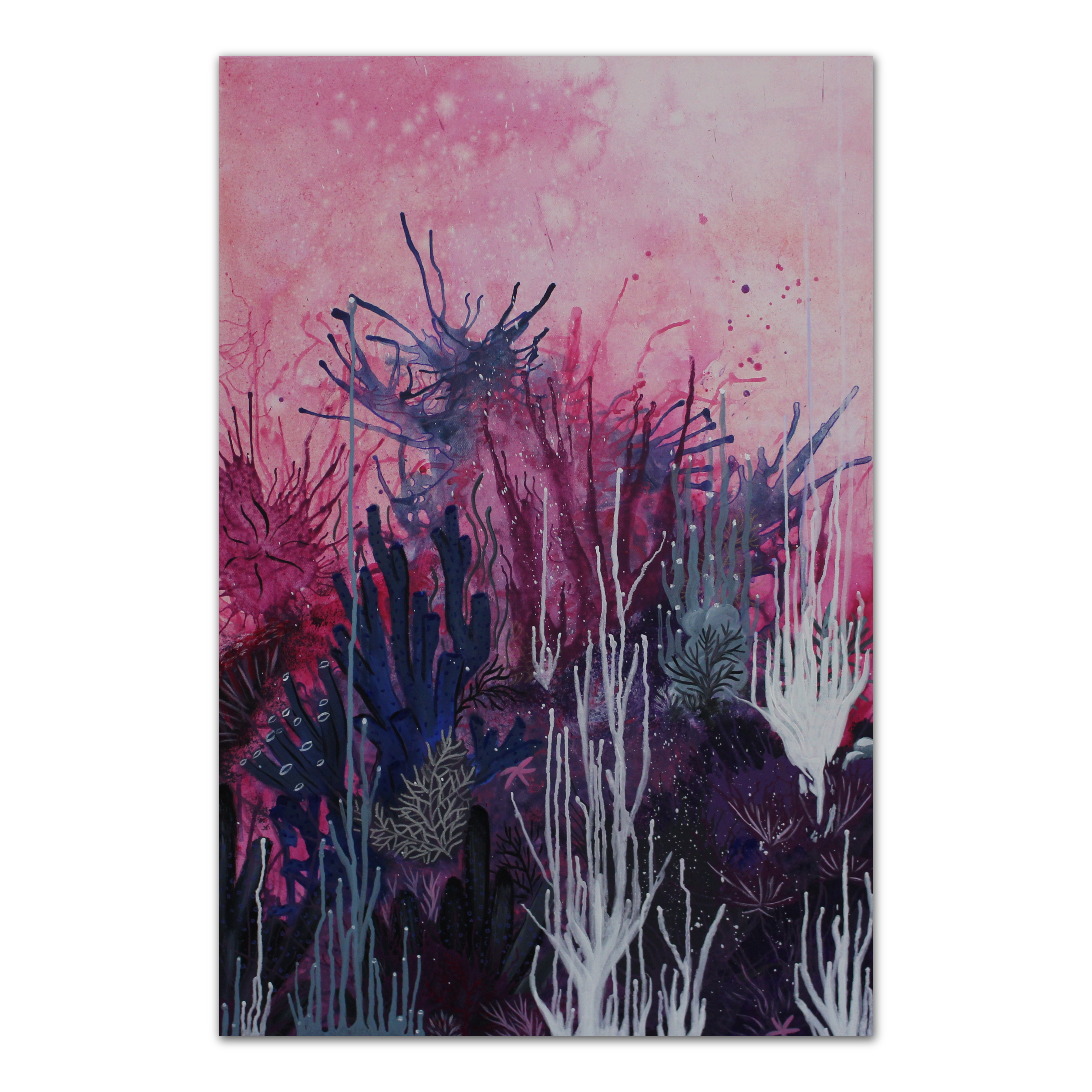 Reefscape #C1