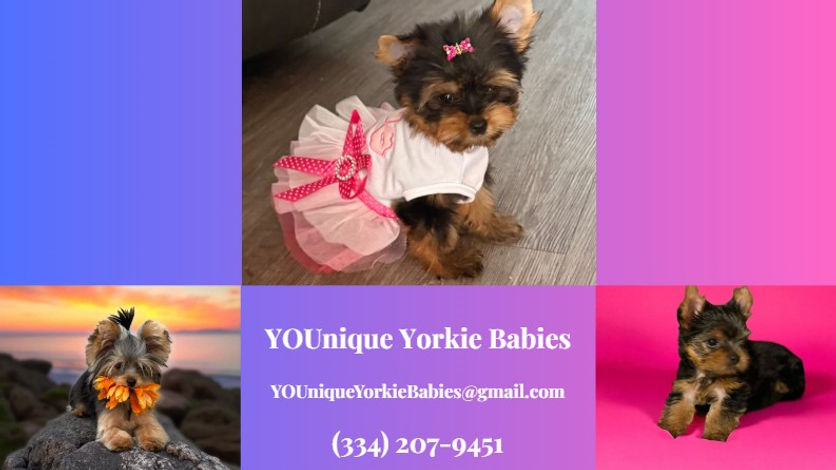 Screenshot 2025-09-14 083252.jpg