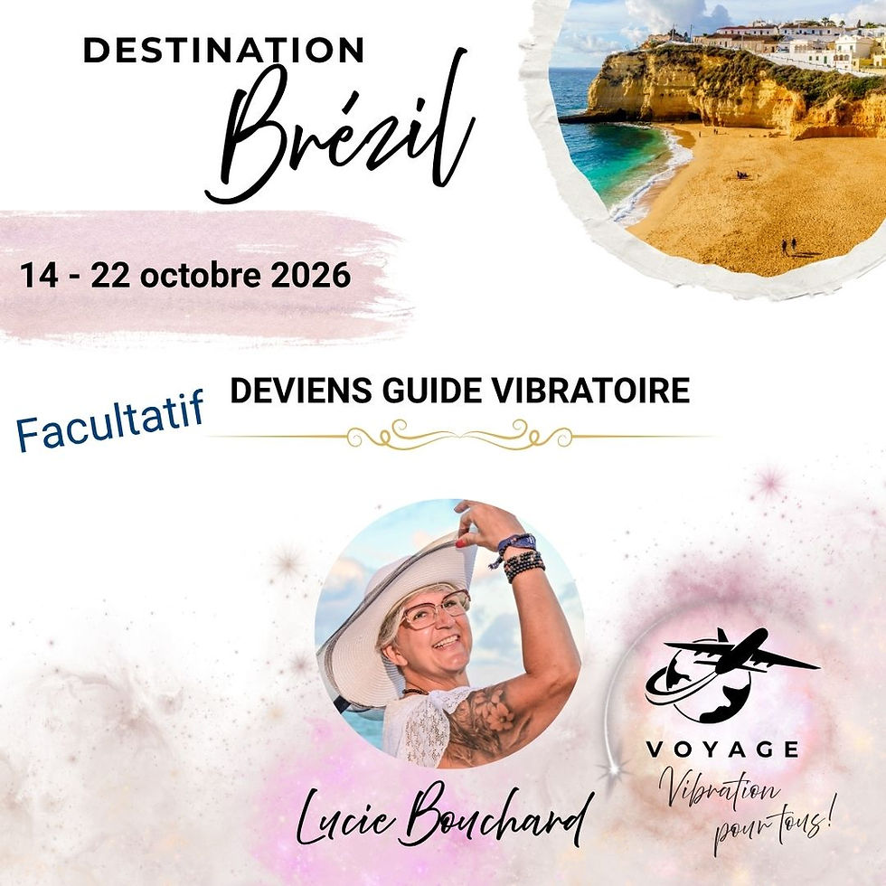 voyage brésil 2026
