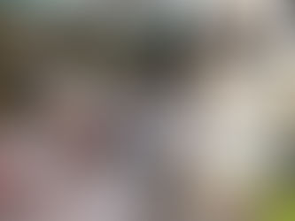 EZ Living Interiors confirms exciting new store in Ballymena