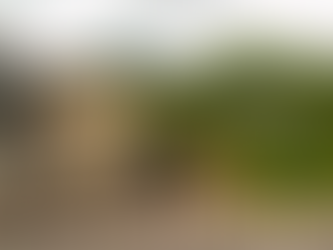 Co Antrim woman sentenced for number of terrorism-related offences