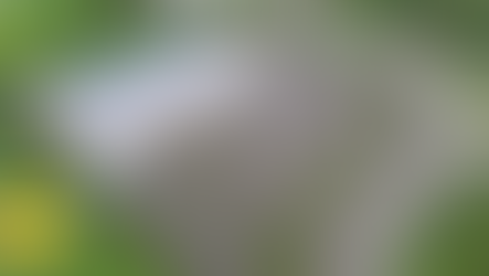 Why Lidl chose St Patrick’s Link Road for Ballymena mega-store