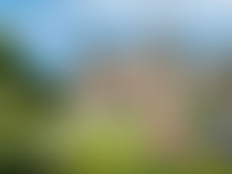 County Antrim family festival cancelled for 2024