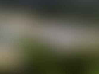 Kilwaughter Quarry extension approved by planners