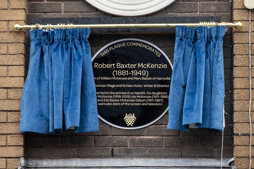 The newly installed commemorative plaque in the Harryville area of Ballymena