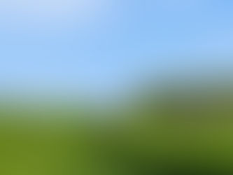 BSE case in Scotland will not impact Northern Ireland’s Negligible Risk status