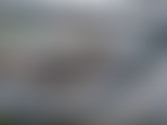 Co Antrim mother and son sentenced for animal welfare offences