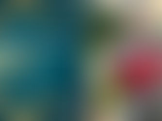 Ballymena man paddles into the spotlight becoming BBC Sport NI’s Unsung Hero for 2023