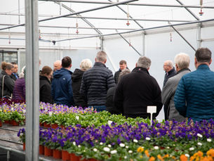 CAFRE launches ‘Growers’ Gathering’ to drive innovation in peat-free horticulture