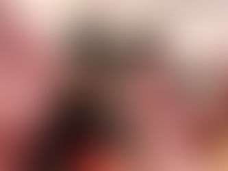 Border Collie Olly searches for ‘The One’