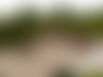 Planning application approved for extension at Antrim Primary School