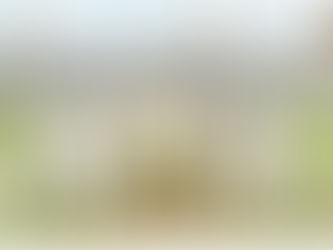 Galgorm Collection plans to bring original Georgian Roe Park House entrance back to life