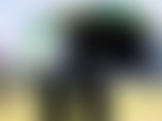 Police issue advice ahead of Belsonic 2024