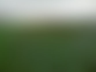 HMP Magilligan Native Tree Nursery grows with investment from the Dormant Accounts Fund