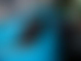 Drivers could be banned from overtaking stopped buses under new NI safety plans