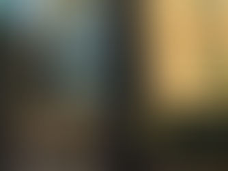 Custodial sentence and fine for owner of dog that attacked a person