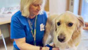 Pet therapy partnership brings ‘unconditional love’ to Northern Trust hospital patients