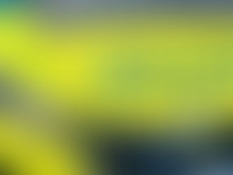 Appeal for information after petrol bombs thrown at house in Ballymena