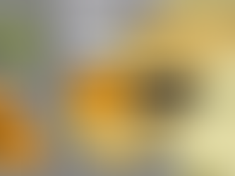 Amber weather warning for Storm Ashley