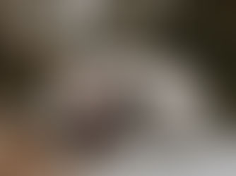 Christmas cheer for caravanners