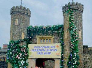 ‘Challenging weather’ blamed for ‘disappointing’ visitor figures at Antrim garden show