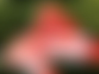 Unite members working in the Education Authority vote for strike action