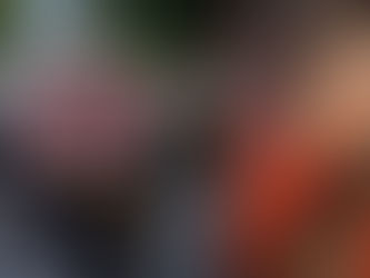 Cllr Crawford praises everyone involved in continuing search for Chloe Mitchell