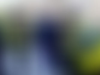 Quigley welcomes action by police and DVA to tackle illegal vehicles in Ballymena