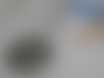 Taxpayers left to mop up: Gaston slams Stormont’s deliberate toilet flooding fiasco