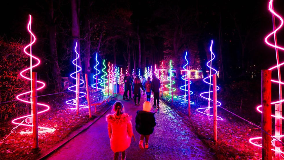 Enchanted winter garden lit up at night