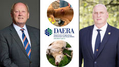 Why did 51 cattle have to be shot? DAERA faces mounting pressure over cattle cull operation