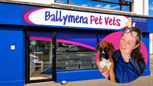 The vet you trust with family: Why compassion is at the heart of Ballymena Pet Vets