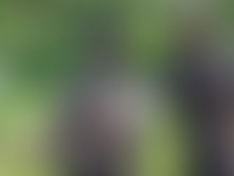 Sculpture of Her Late Majesty Queen Elizabeth II unveiled in Antrim Castle Gardens