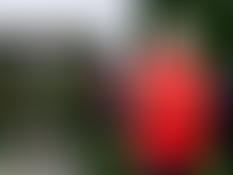 TV | Up For the Match captures all the craic before Armagh and Galway meet for the first on Sunday